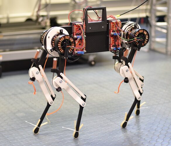 Roboter-Hund lernt in einer Stunde das Laufen