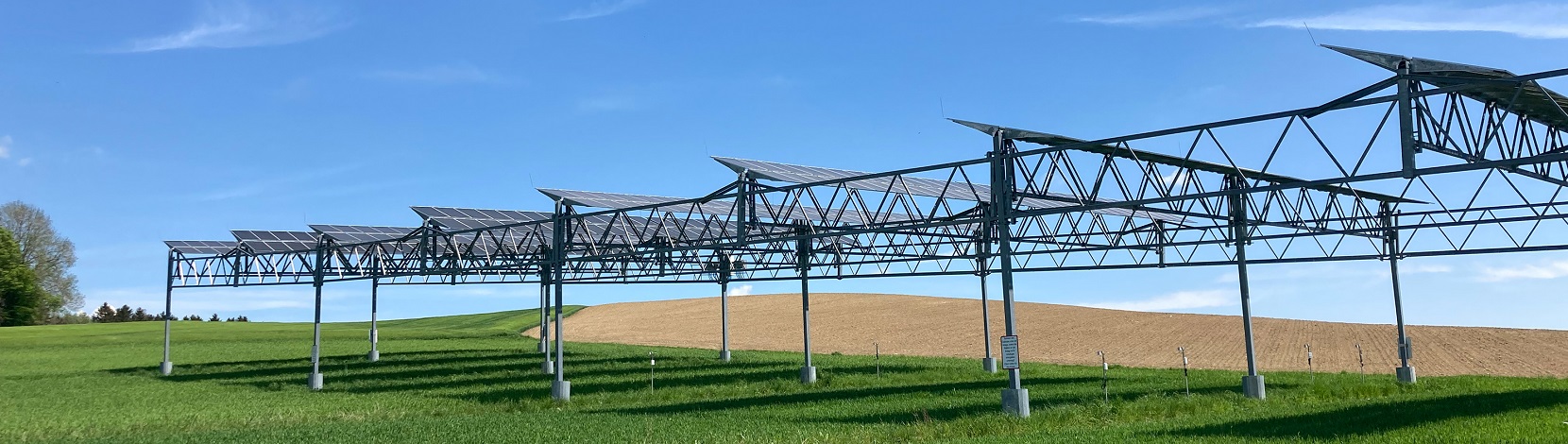 Agri-PV-Anlagen schützen Pflanzen vor Dürre – Electrosuisse