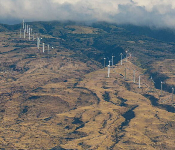Hawaï, un vrai laboratoire