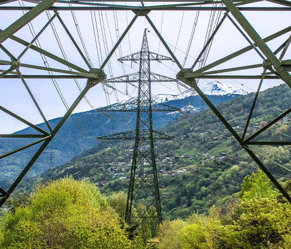 ESTI verankert neue Strategie