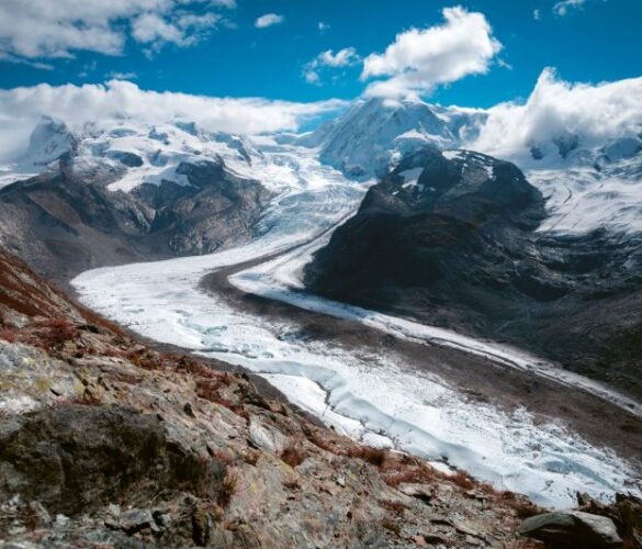 Transition énergétique: jusqu’à quel prix pour la nature?