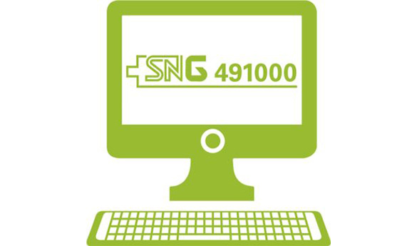SNG 491000: Online